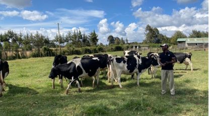 How video conferencing helps Tetra Pak support small dairy farmers