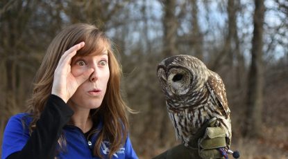 Making STEM fun with virtual events (and owls!)