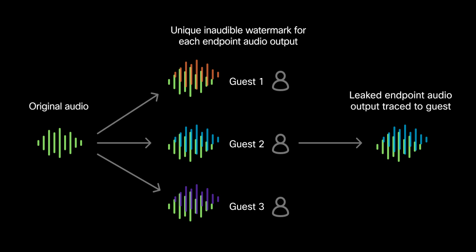 Explanation Of Audio Watermarking